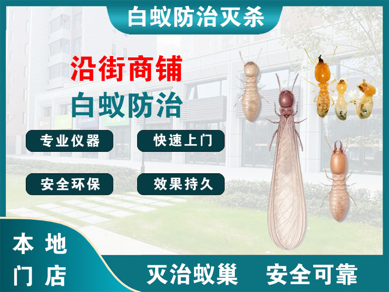 丹阳沿街商铺白蚁防治