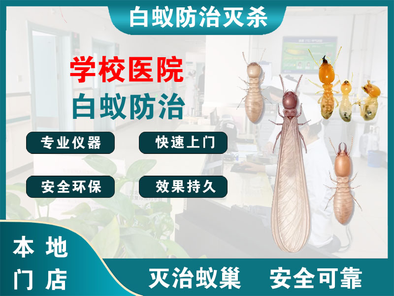 丹阳学校医院白蚁防治