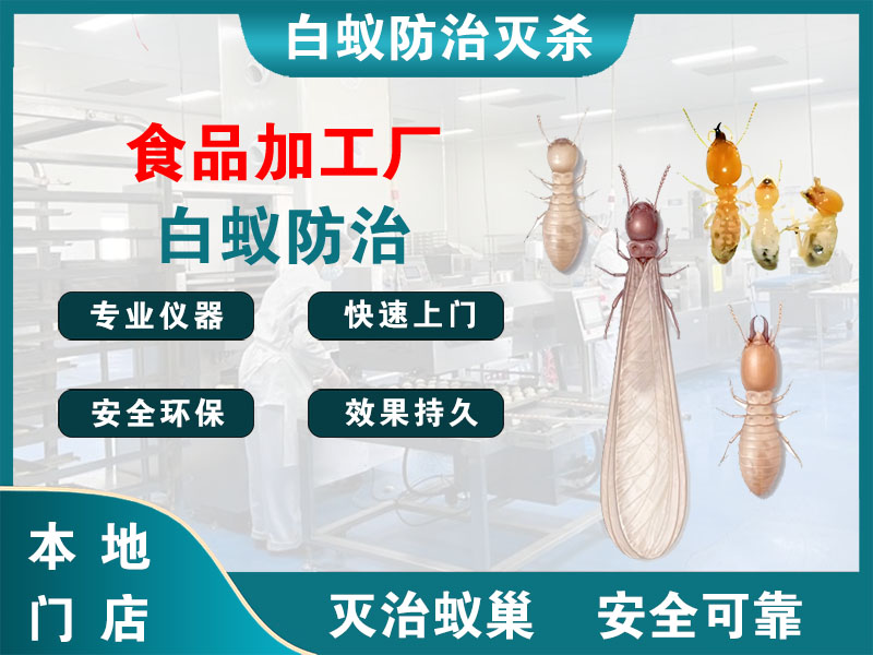 丹阳食品加工厂白蚁防治