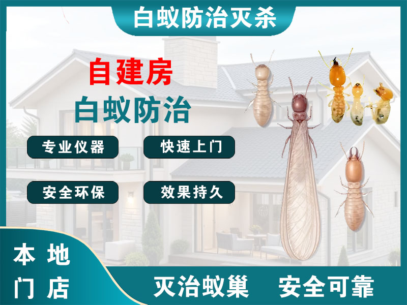 丹阳自建房白蚁防治