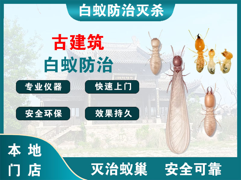 丹阳古建筑白蚁防治