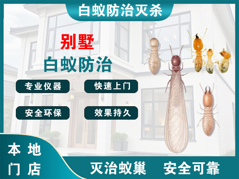 丹阳别墅白蚁防治
