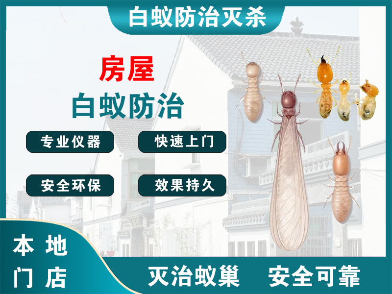 丹阳房屋白蚁防治